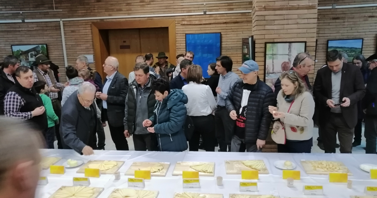 Kárpát-medencei sajtmustra Csíkszeredában