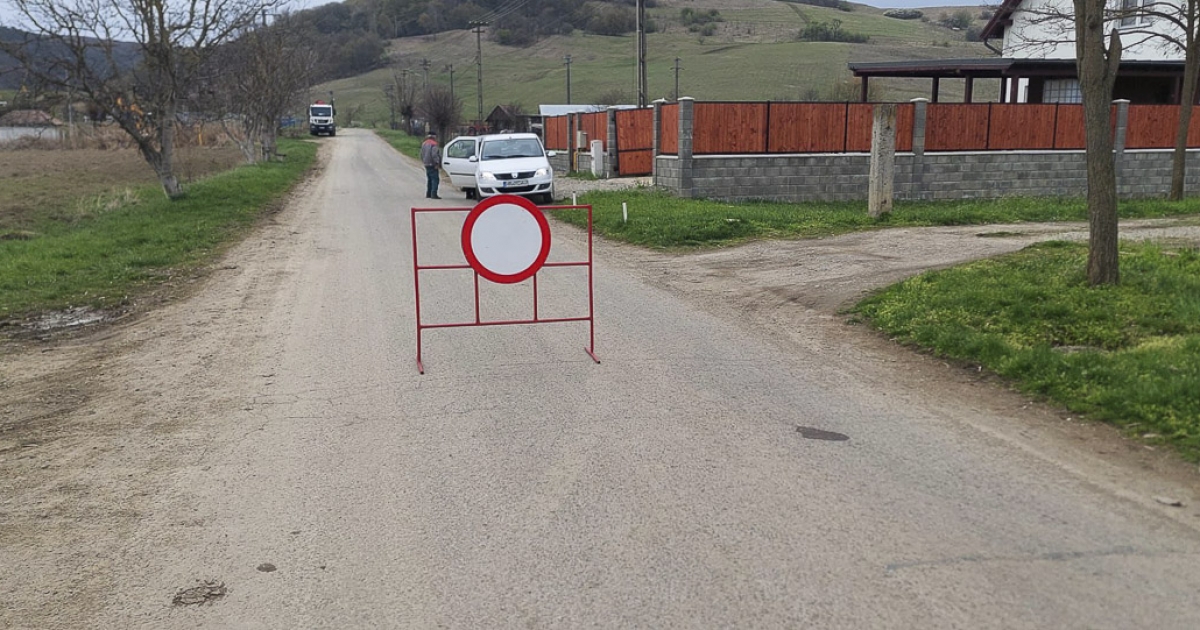 Kivágják a veszélyes fákat