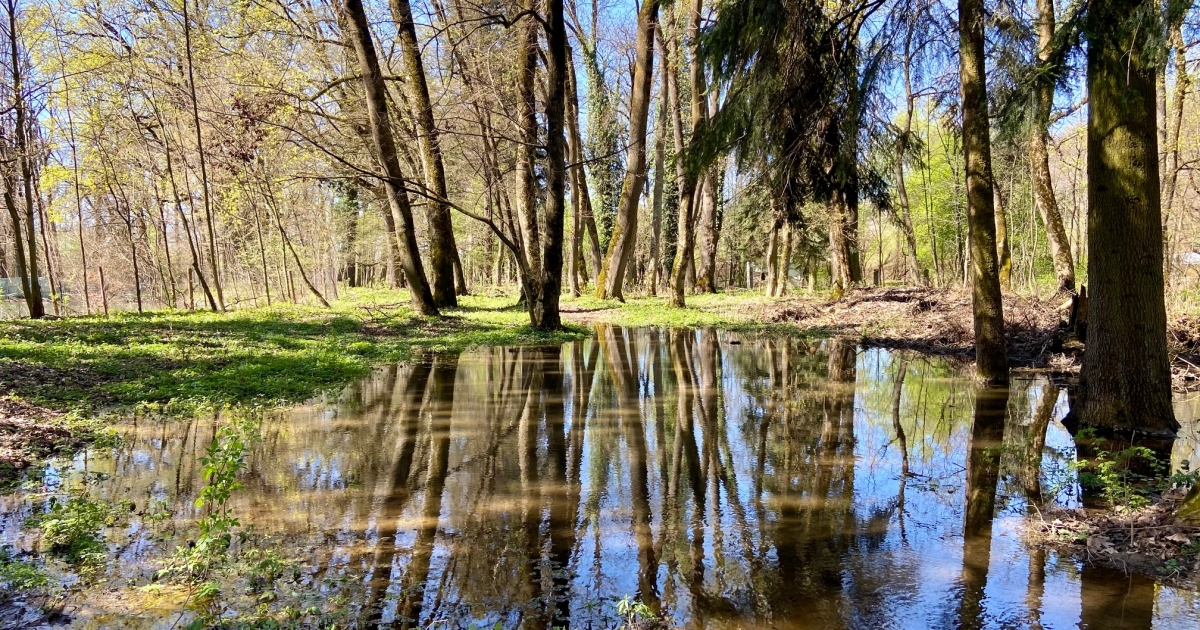 Mesebeli túra a Görgényi-havasokban: kastélytól a vízesésig