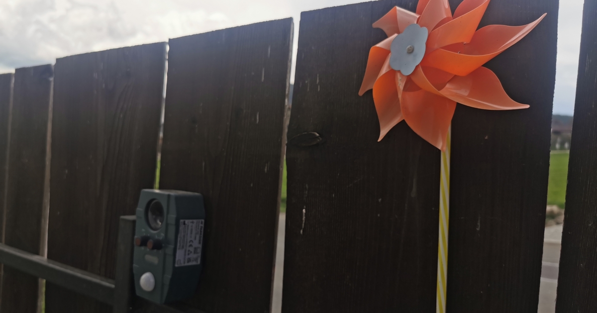 Trükkök, amik működnek, hogy a tollas tolvajok ne tegyék tönkre a kertet