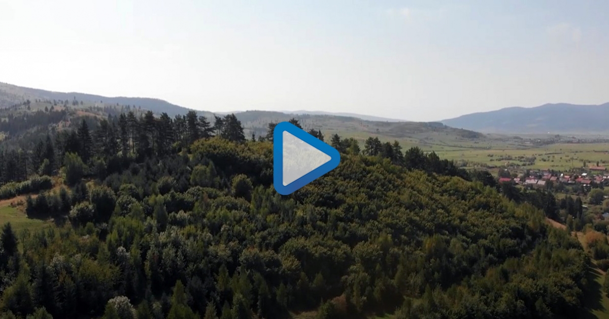 Trees For Life – a sikertörténet