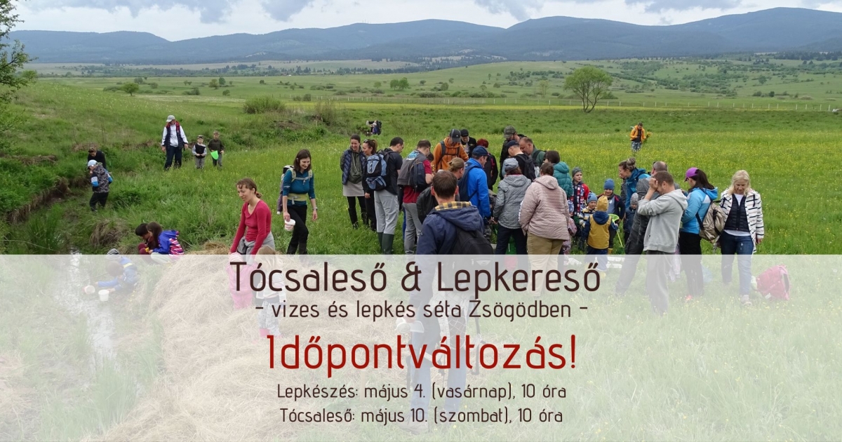 Tócsaleső kirándulás Zsögödben