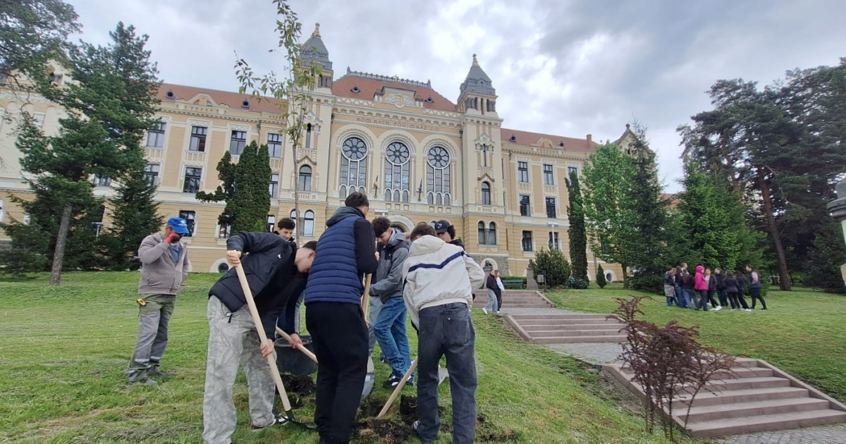 Diákok zöldítik iskoláik udvarát Csíkszeredában