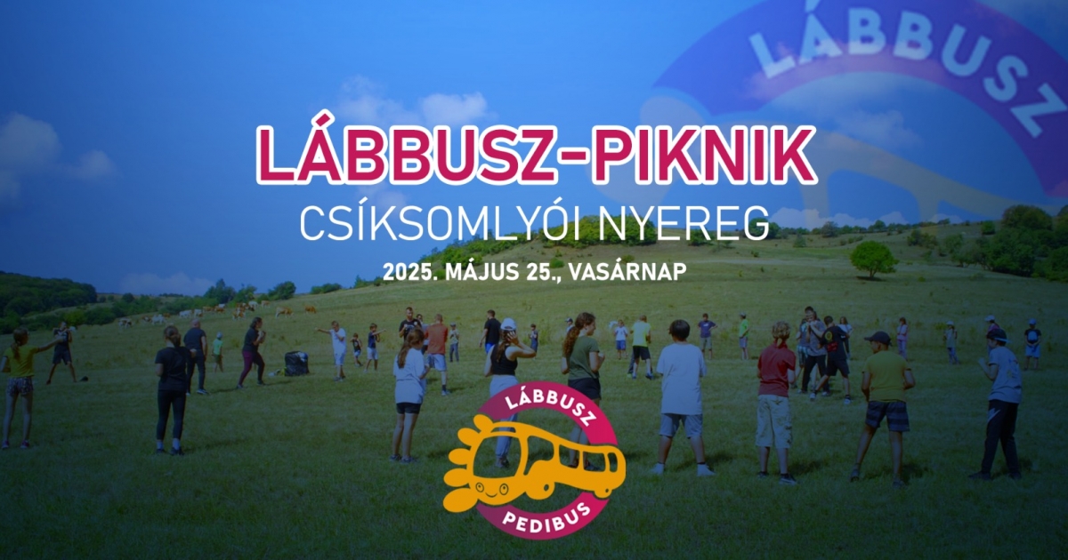 Lábbusz-piknik