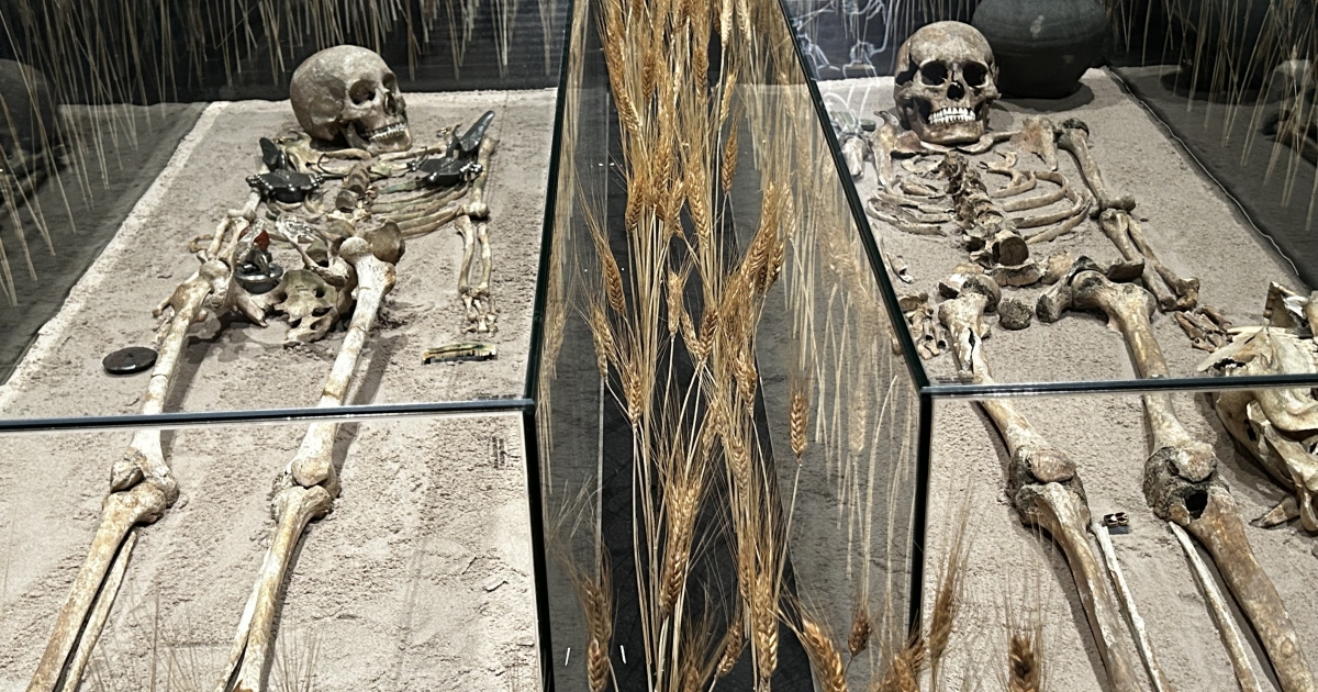 Bámulatos kincseket láthatunk egy kolozsvári kiállításon