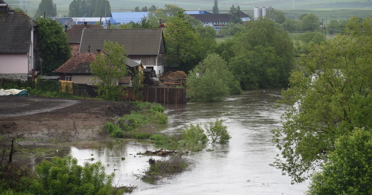 Árvízveszély: mit kell tenniük ilyenkor az állattartóknak?