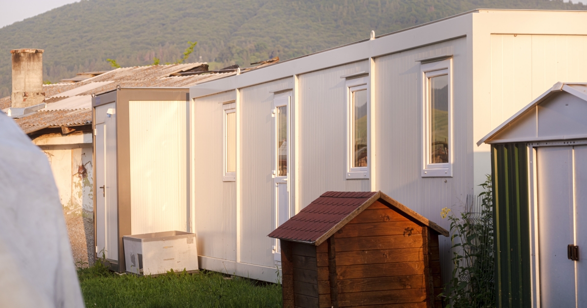 Megkezdte működését a csíkszeredai kutyamenhely, tizenöt állat máris gazdára talált