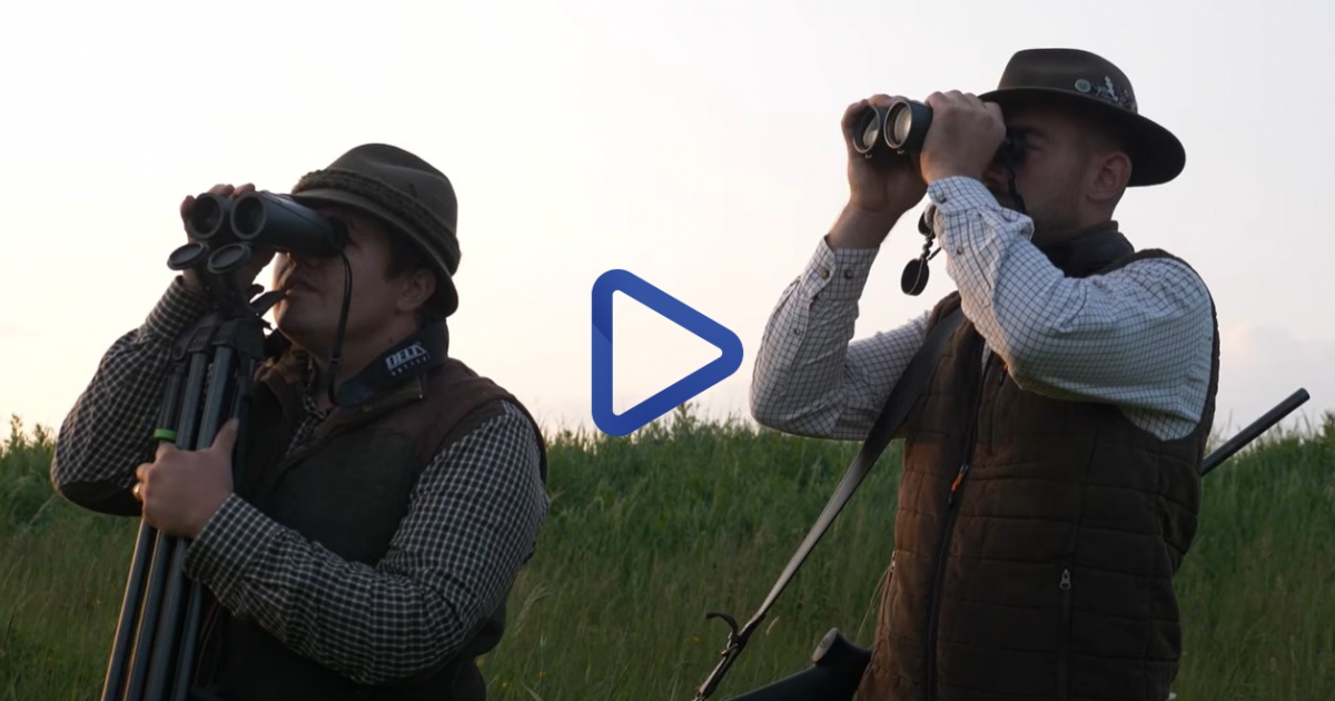 Egy vadászat pillanatai - Őzbak a célkeresztben