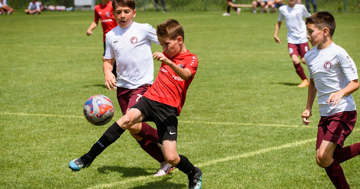 A legjobbak között