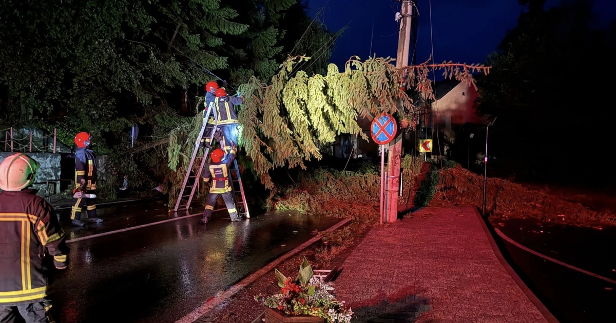 Fák dőltek az úttestre, több mint ezerötszázan maradtak áram nélkül – VIDEÓVAL