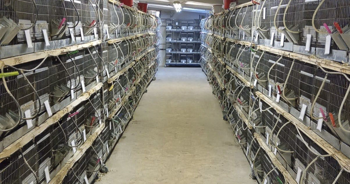 Látkép egy eltűnőben lévő gazdálkodásról