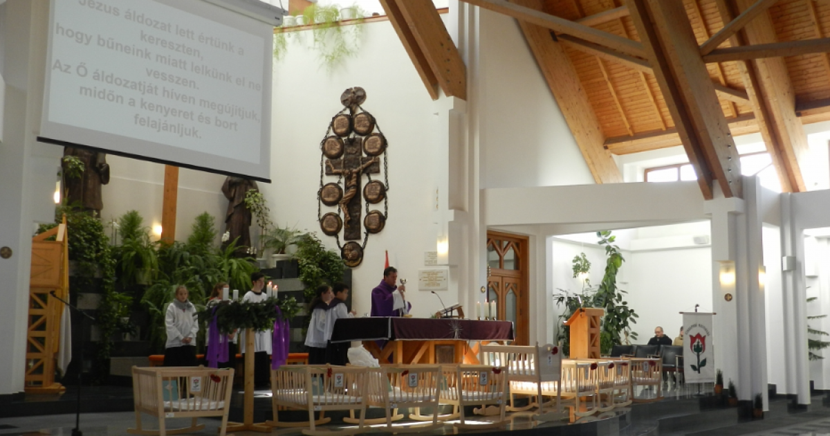 Bölcsőlakók találkozója