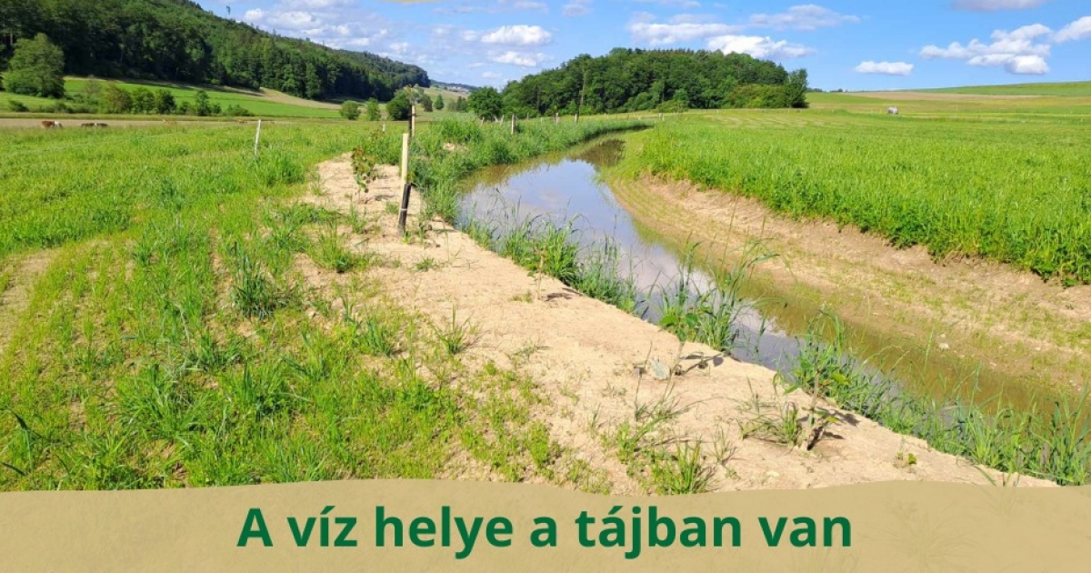 Vízvisszatartó Diáktábor Székelydályában