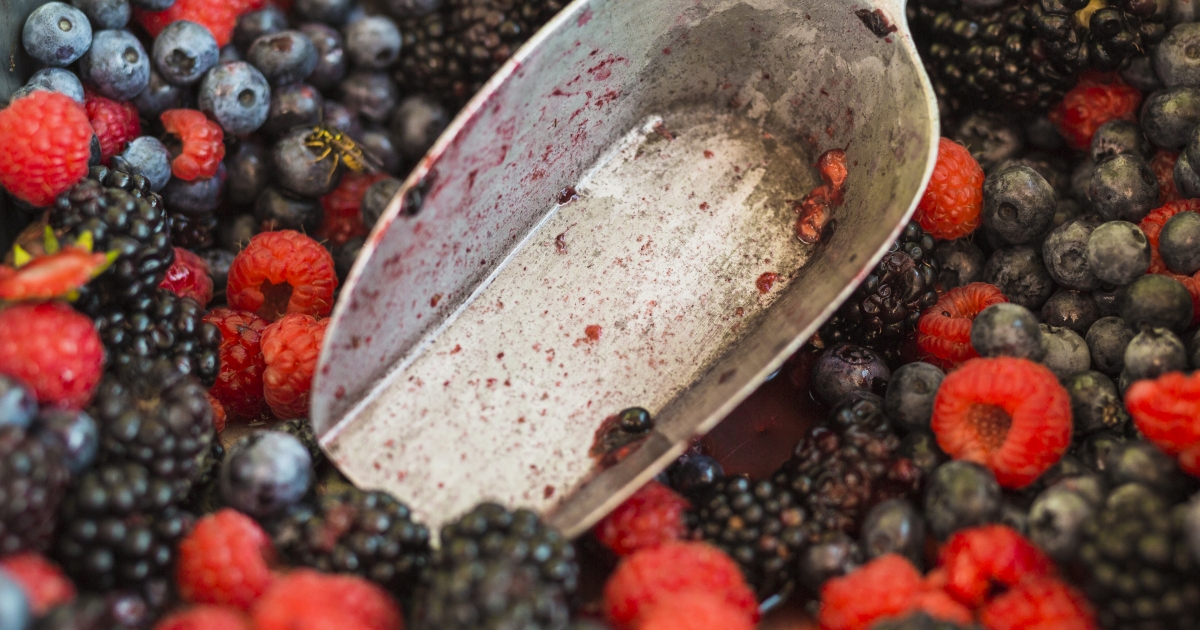 Hogyan szedjük, és mihez kezdjünk a maradékkal?