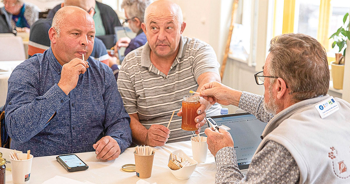 Édes megmérettetésre hangolnak a székely méhészek