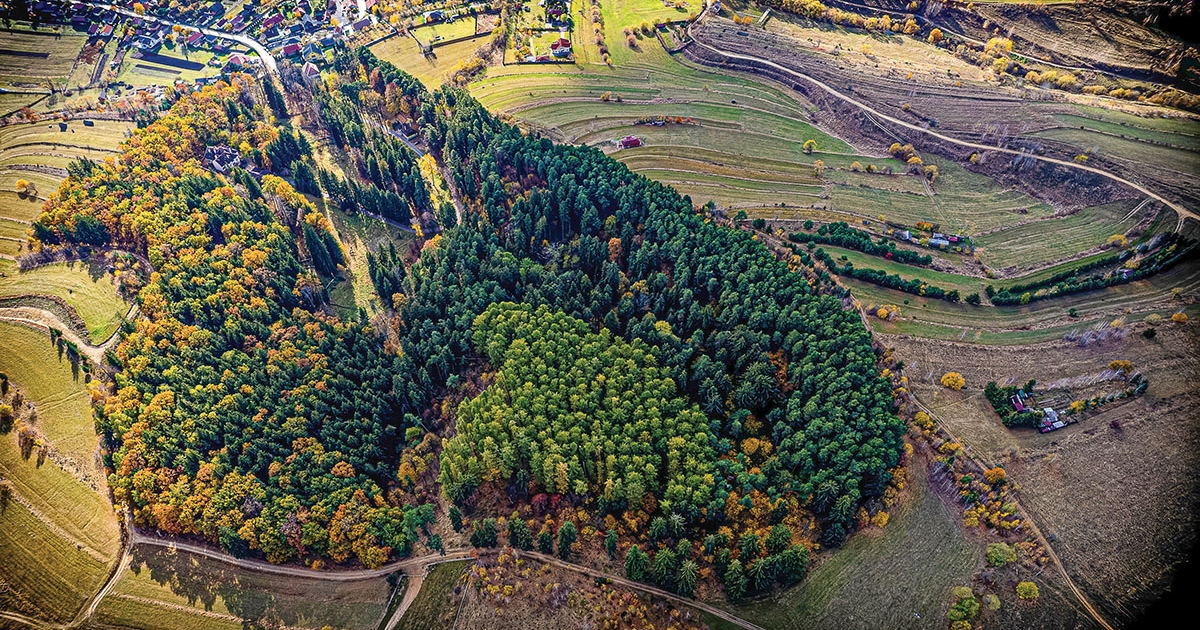 A természet asztalt terít