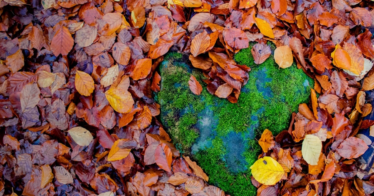 Szívecskék a természetben