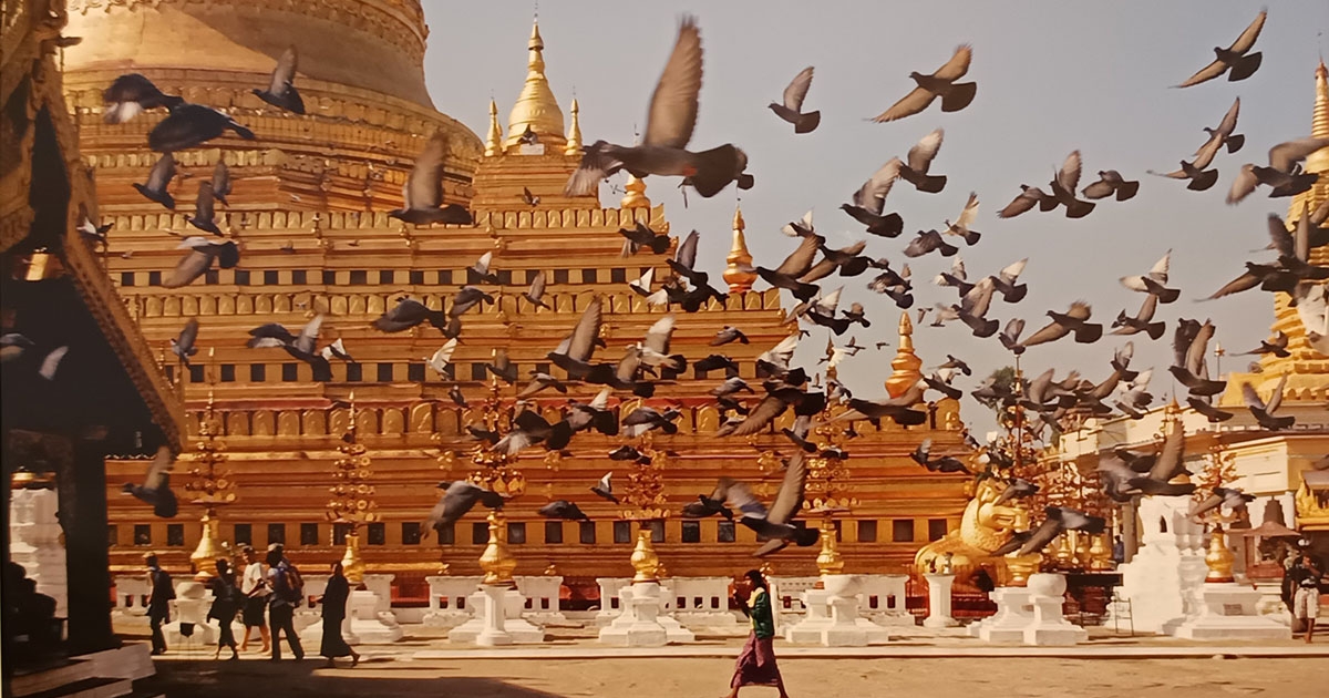 Egy kiállítás képei