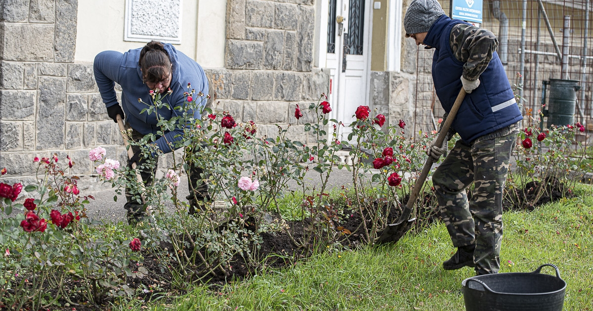 Ősszel is szépül a város