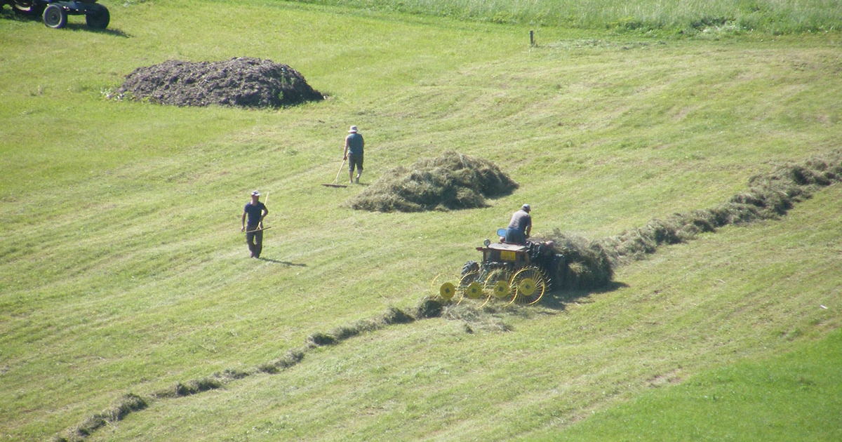 Gyepgazdálkodás: tervezni, számolni és alkalmazkodni kell