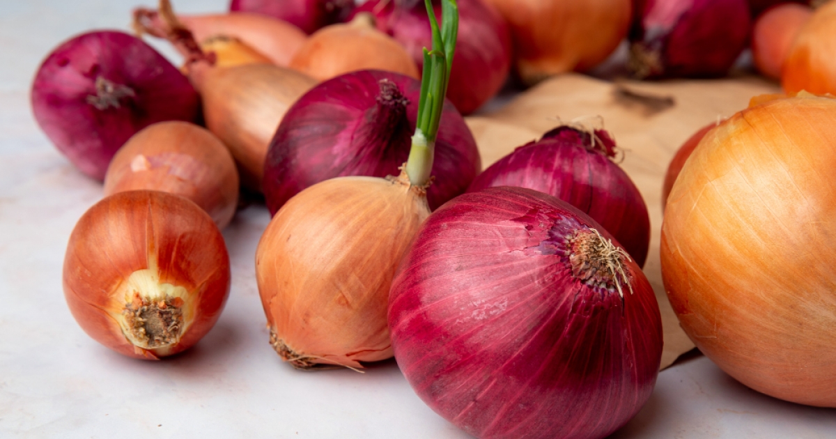 Vöröshagyma
