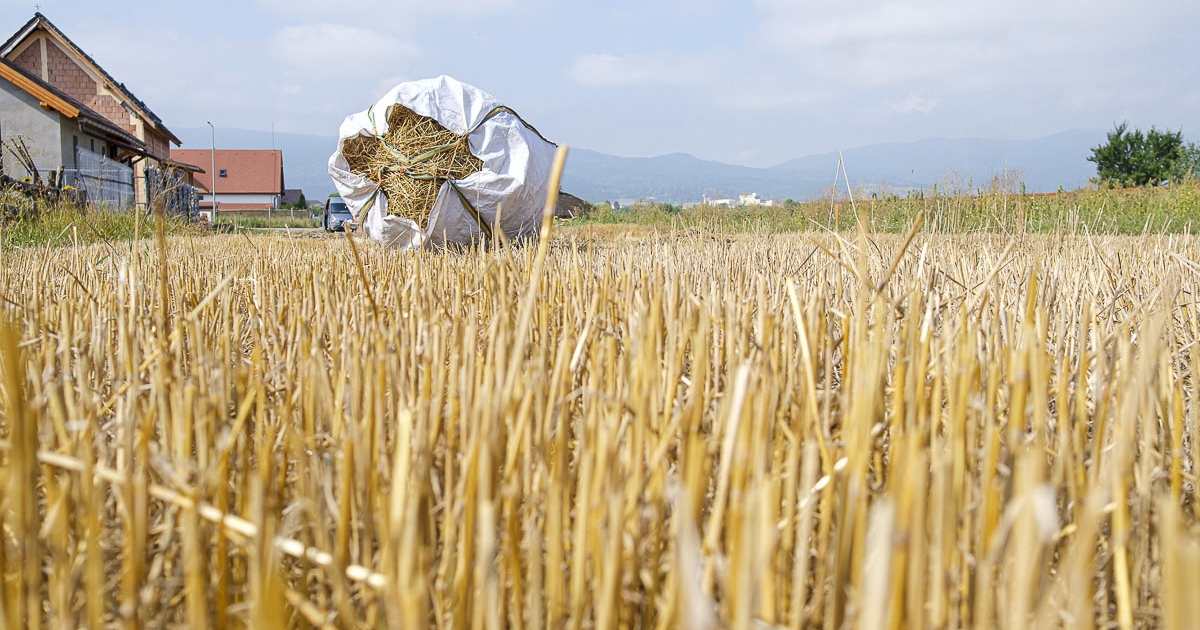 Optimálisan alakult az év a gabonatermelőknek