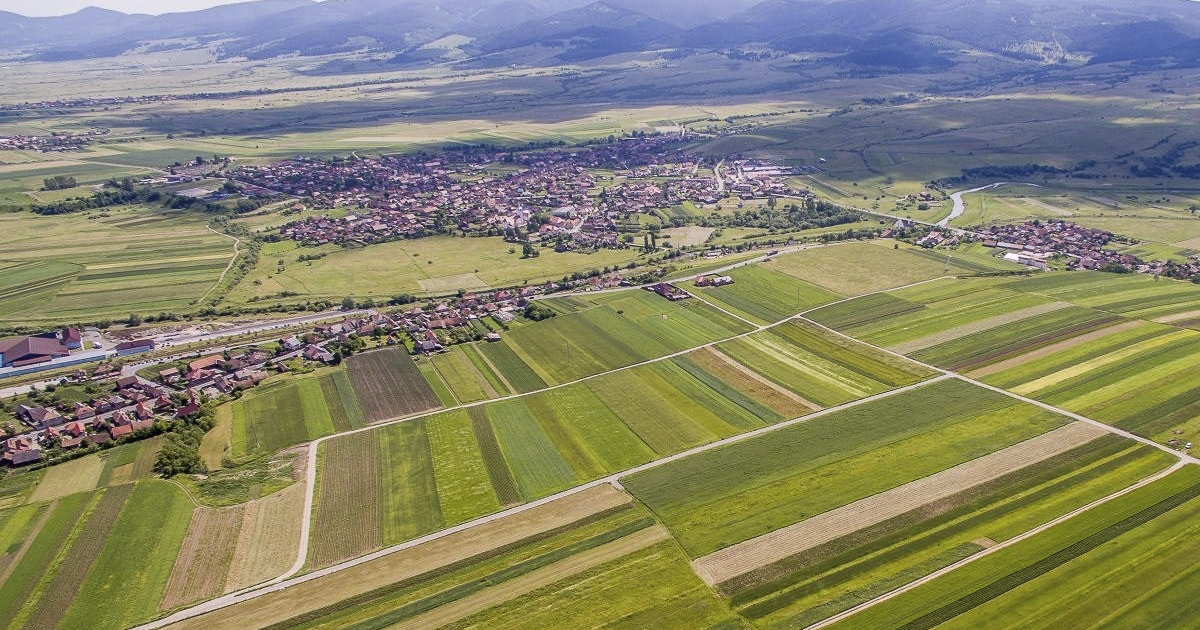 Mezőgazdasági utat javítanak