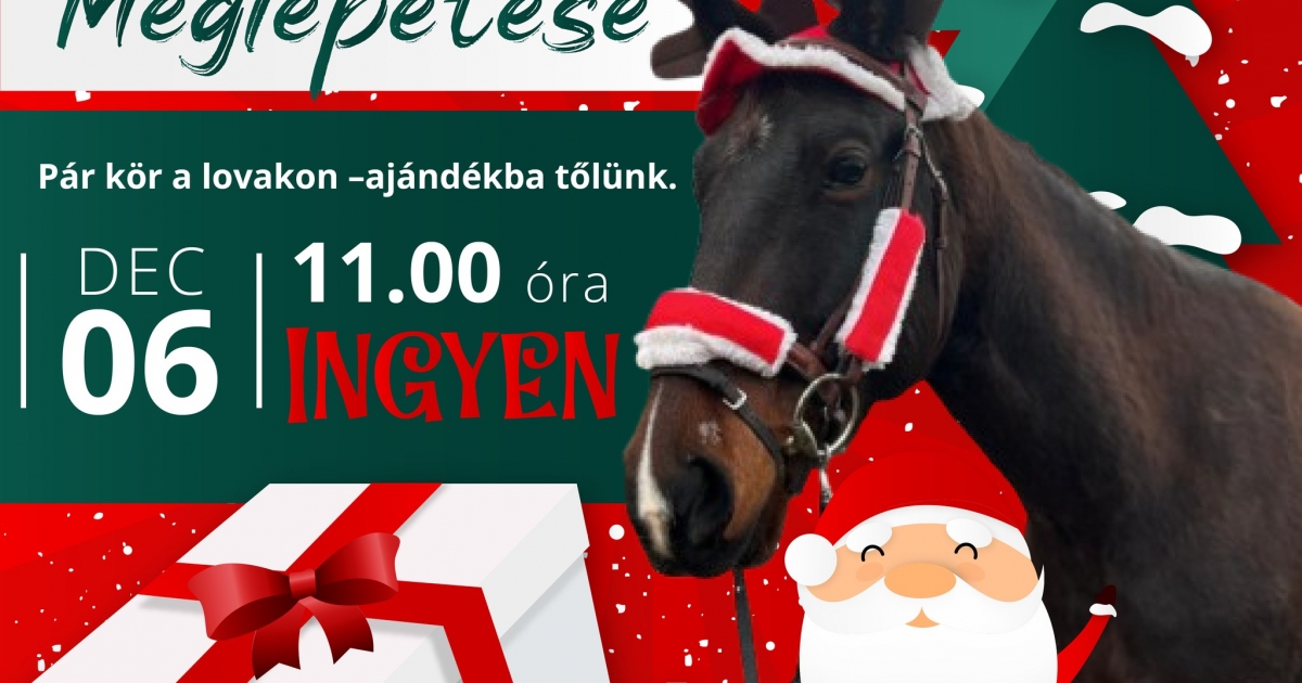 Mikulás-meglepetés a Gyémántpatkó Lovardában