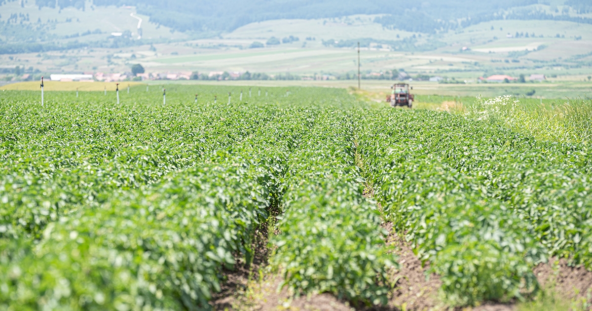 A talaj a gazda legnagyobb kincse