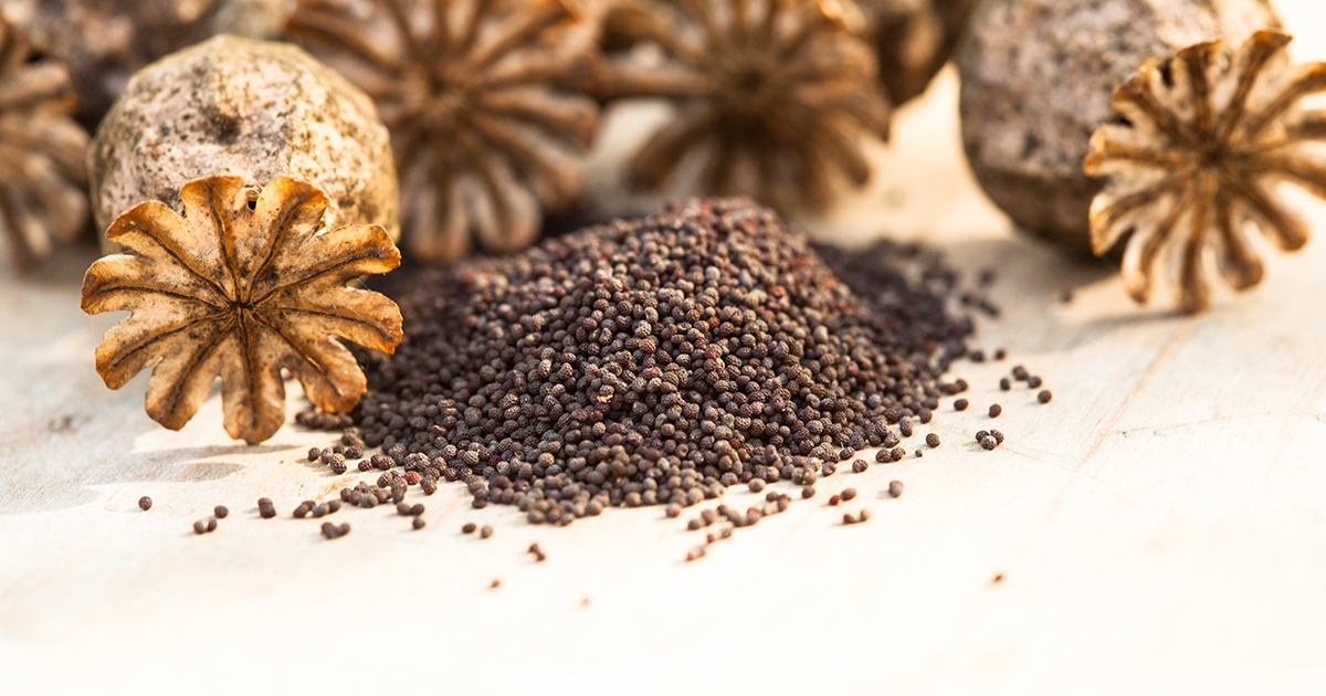 Nyugtató, vigasztaló gyógymódok