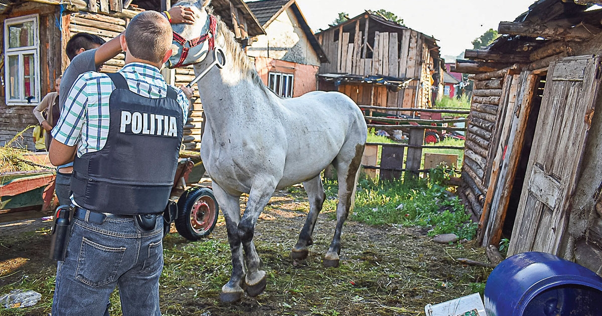 40 bűnvádi eljárás, 440 szabálysértés