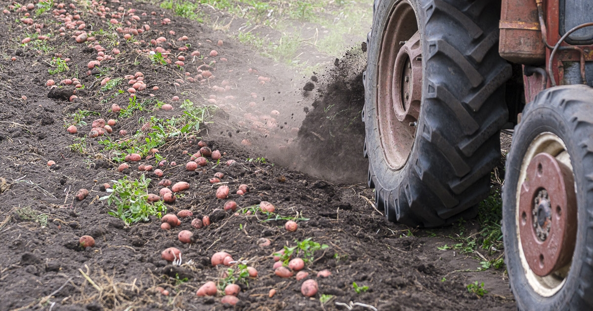 DR–16: jövő hétfőtől lehet jelentkezni, milliós a tét