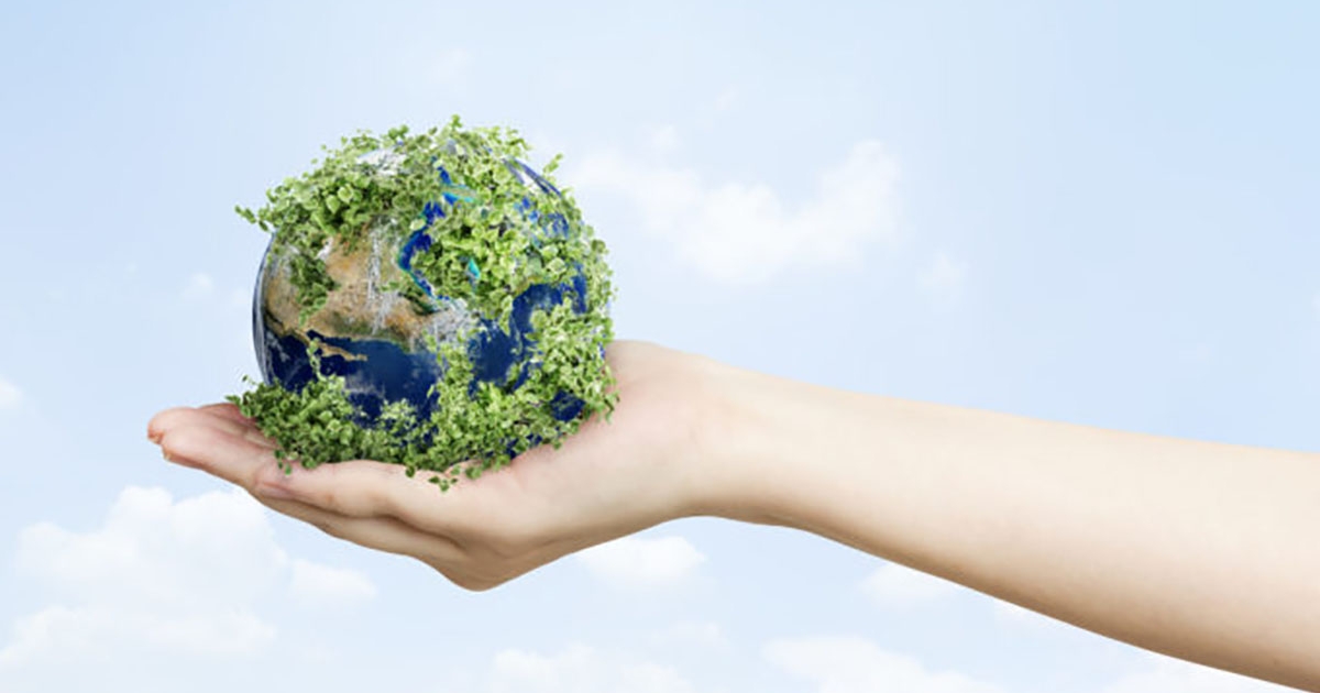Környezettudatosság a mindennapokban