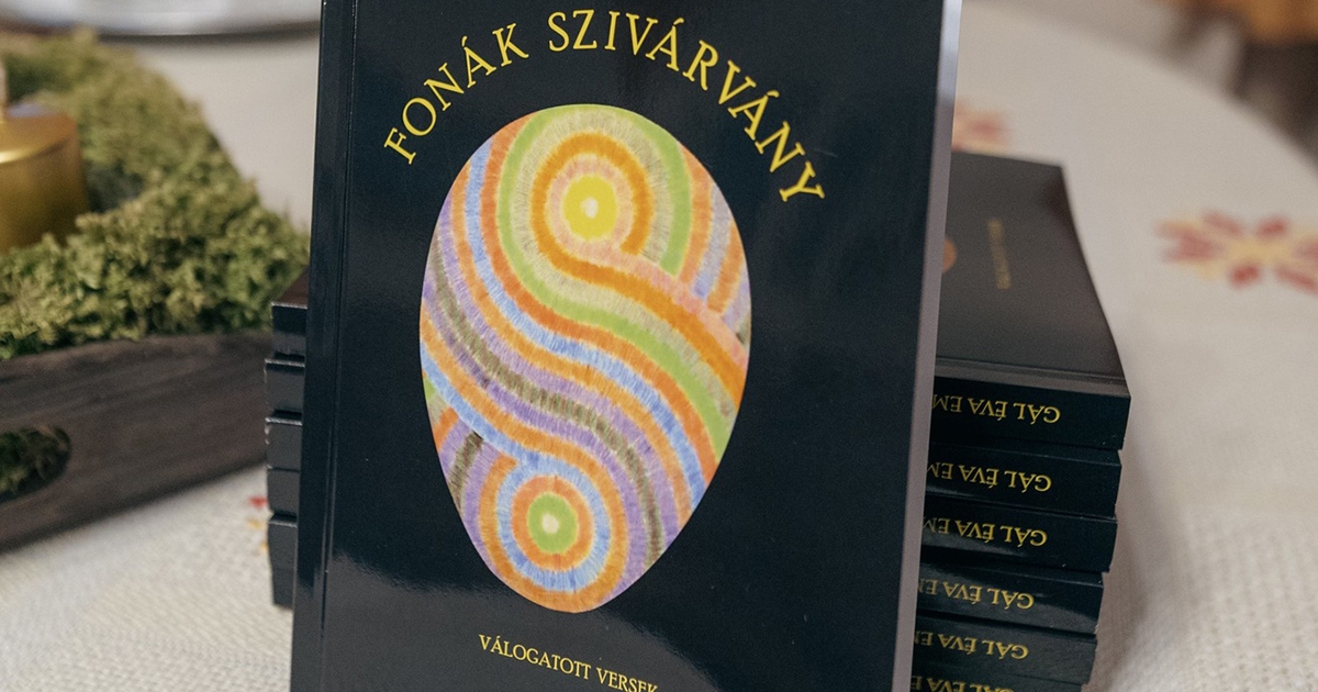 A hattyút ki látta benne?