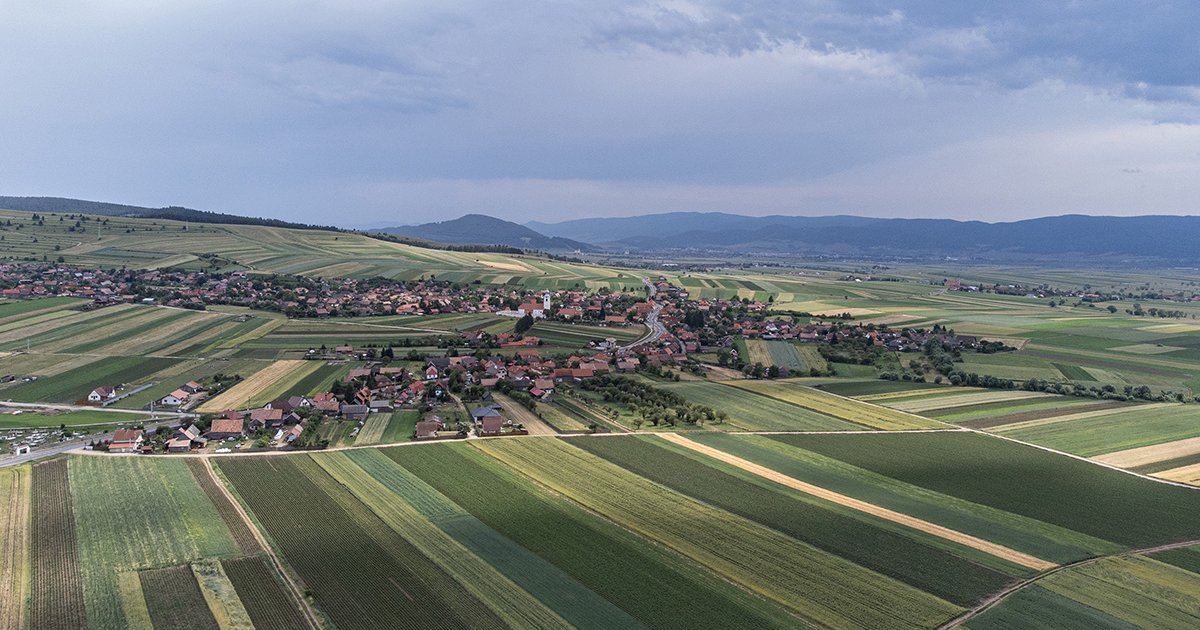Románia a középmezőnyben, emelkedő árakkal