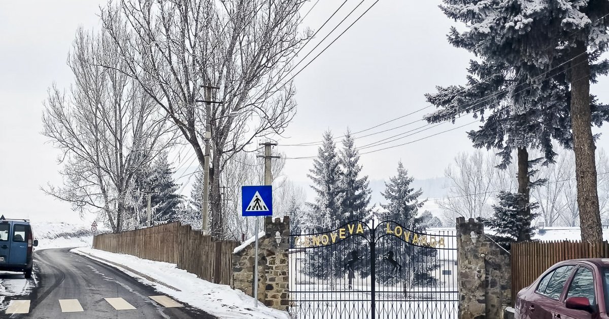Génmegőrzési központ jöhet létre a lovarda területén
