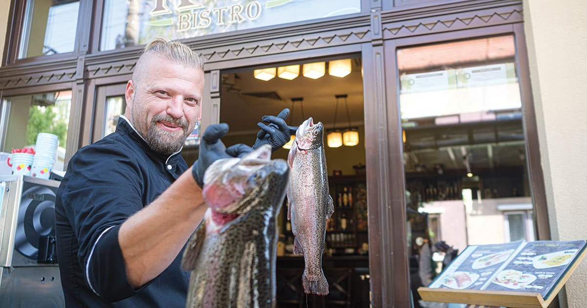 Alapanyagok a csúcsgasztronómiában
