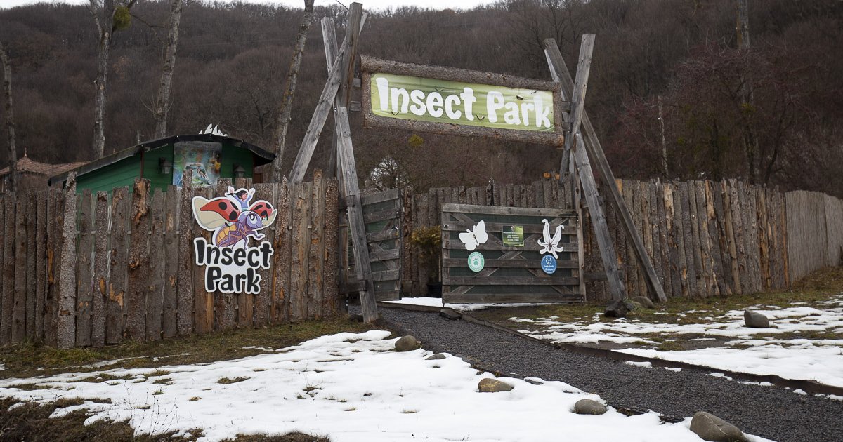 Tavasszal a törpefalu is megnyílik a látogatók előtt