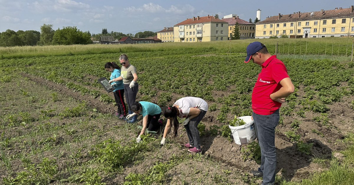 Gyógyító erejű munka a természetben