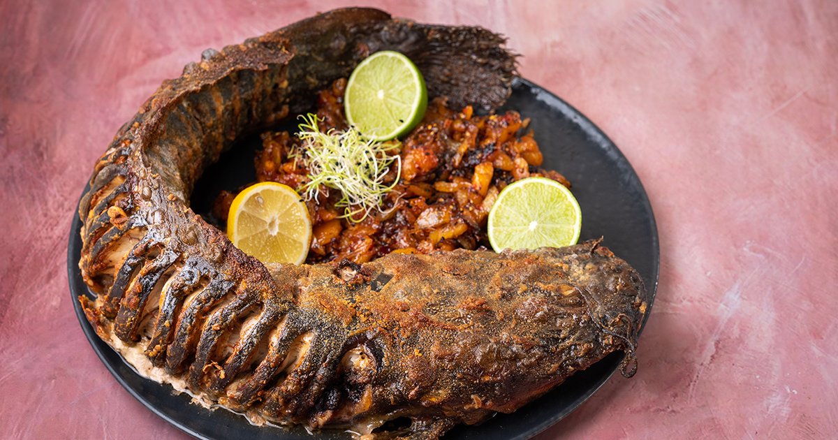 Egészben sült harcsa aszalt barackos hagymával