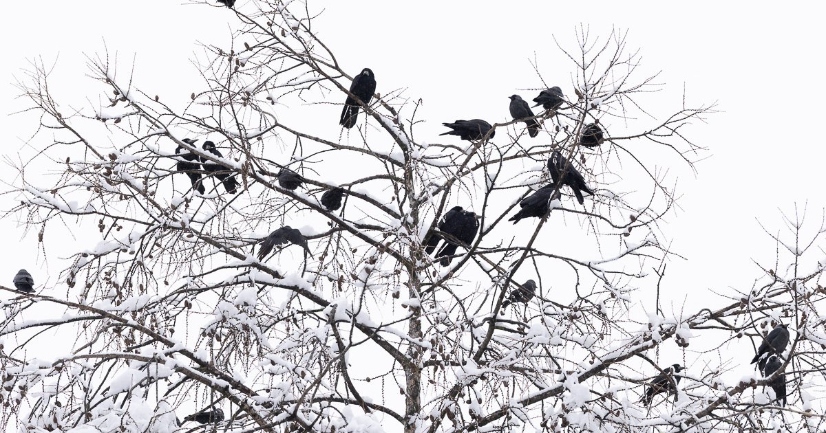 Hosszú folyamat, de nem reménytelen