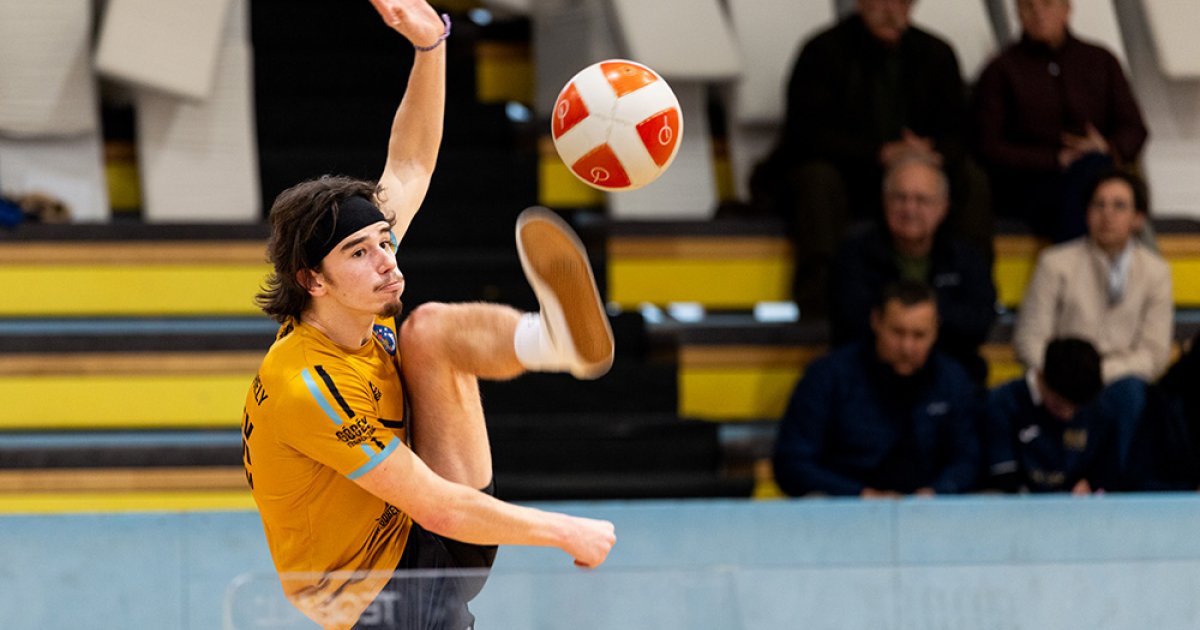 Lengyel szív székely közegben