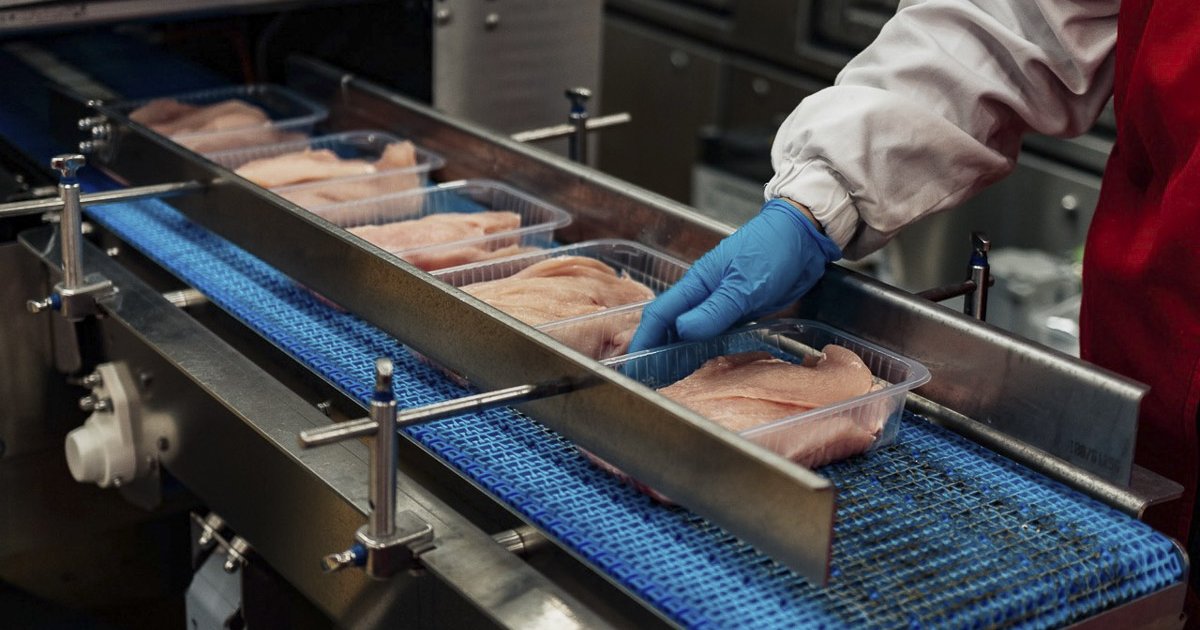 Héja árnya a baromfiágazat felett