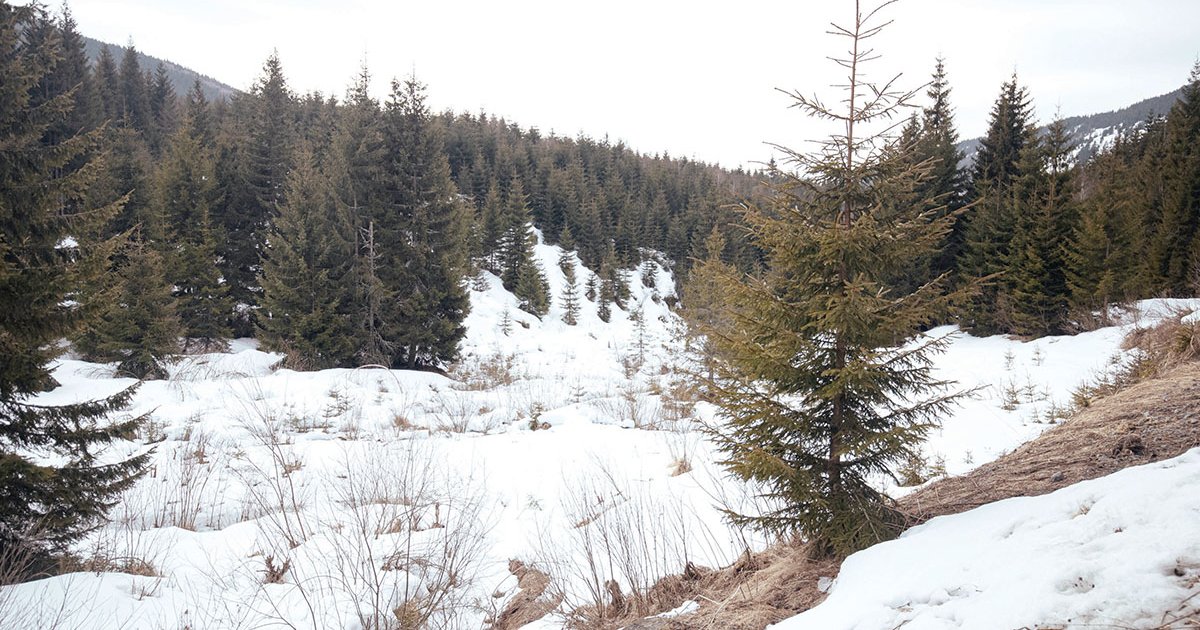 A klímaváltozás árnyékában