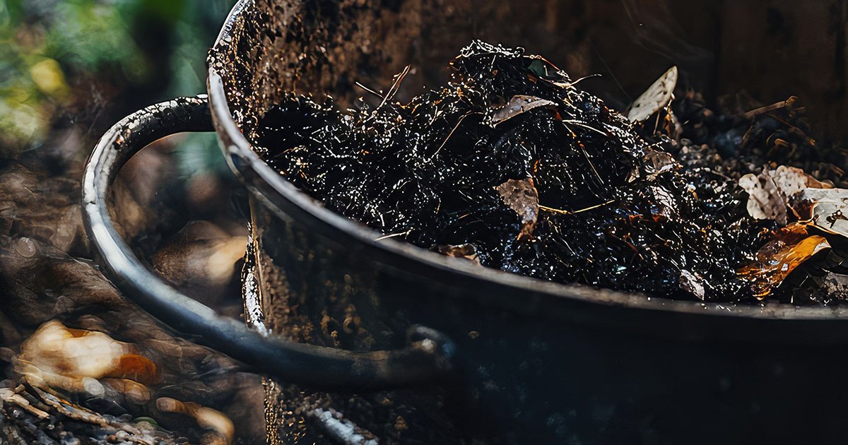 Tavaszi talajjavítás