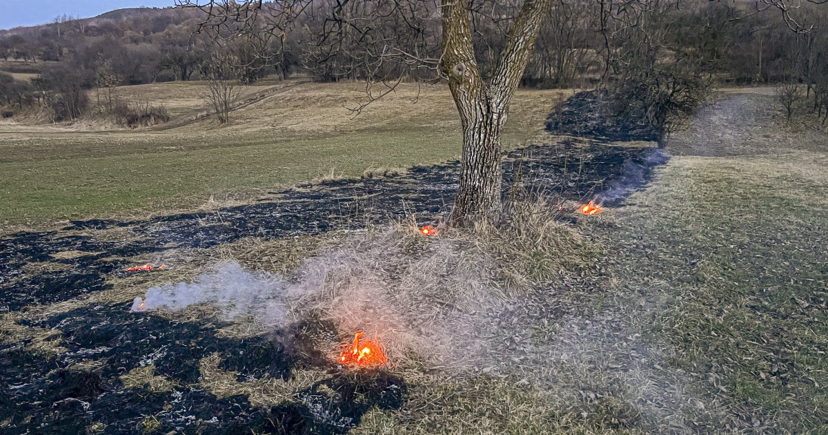 Drónokkal és járőrözéssel megfékezhető?