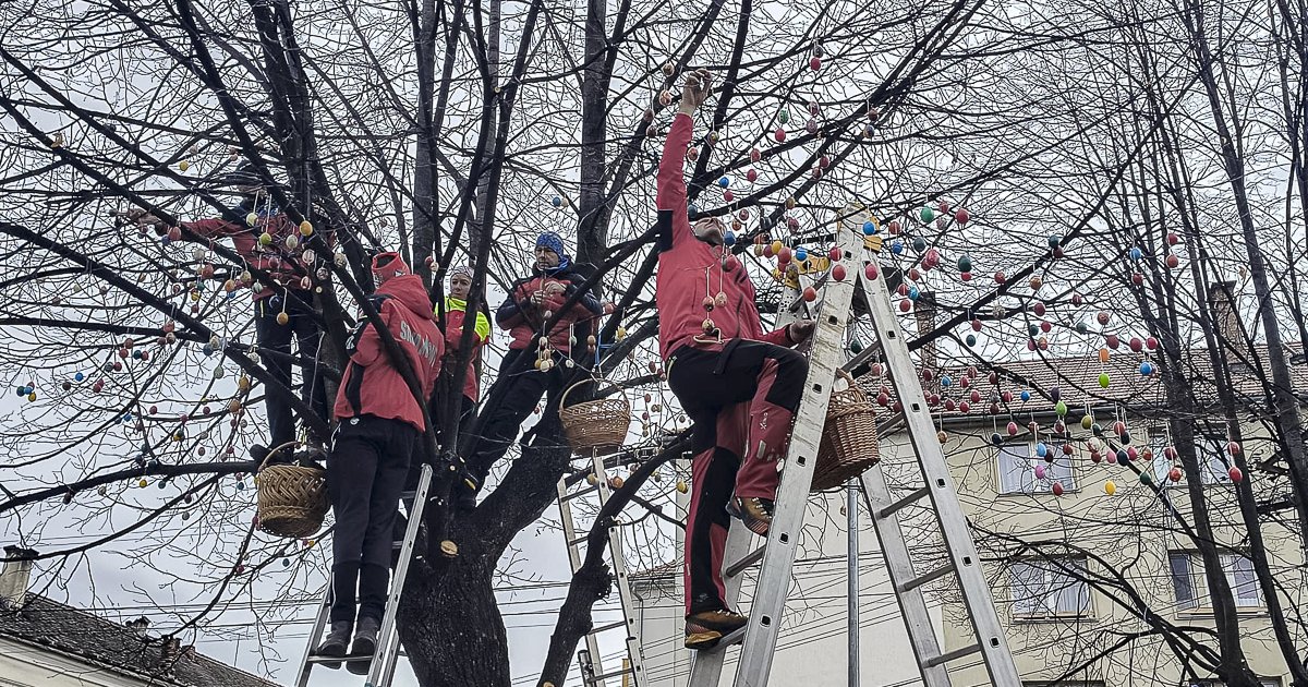 Ismét áll a tojásfa