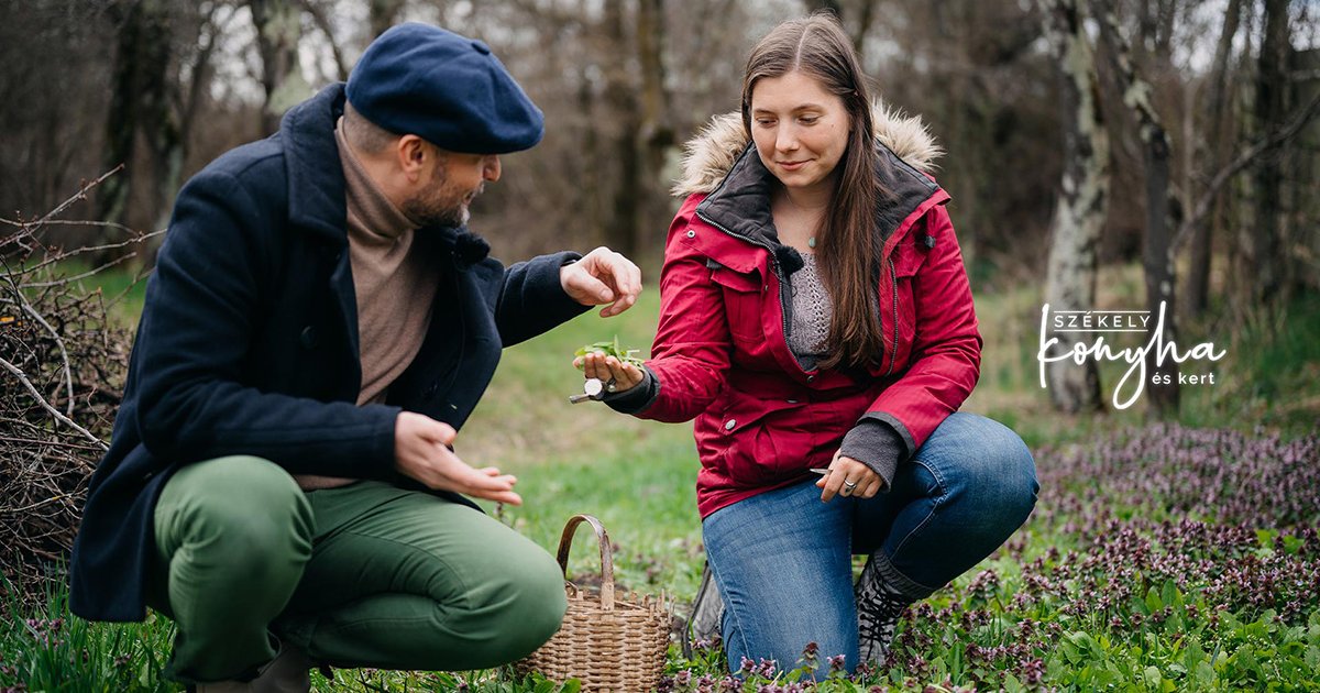 Amit a tavasz kínál