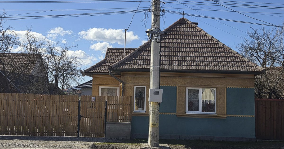 A rönkszállító autókat ellenőrzik