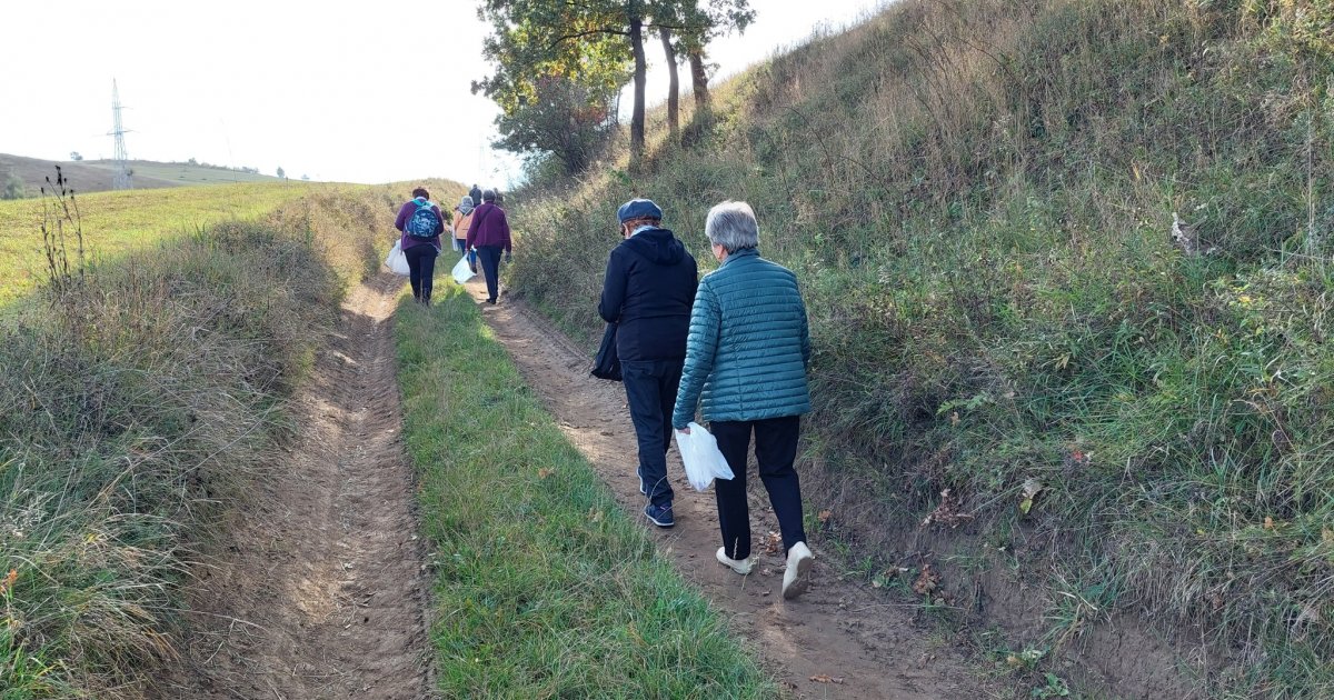 Zöld séta a Providentia Idősek Központjával